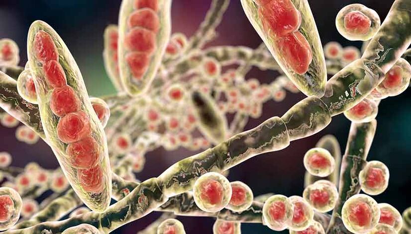 fungi that affect the hair and nails